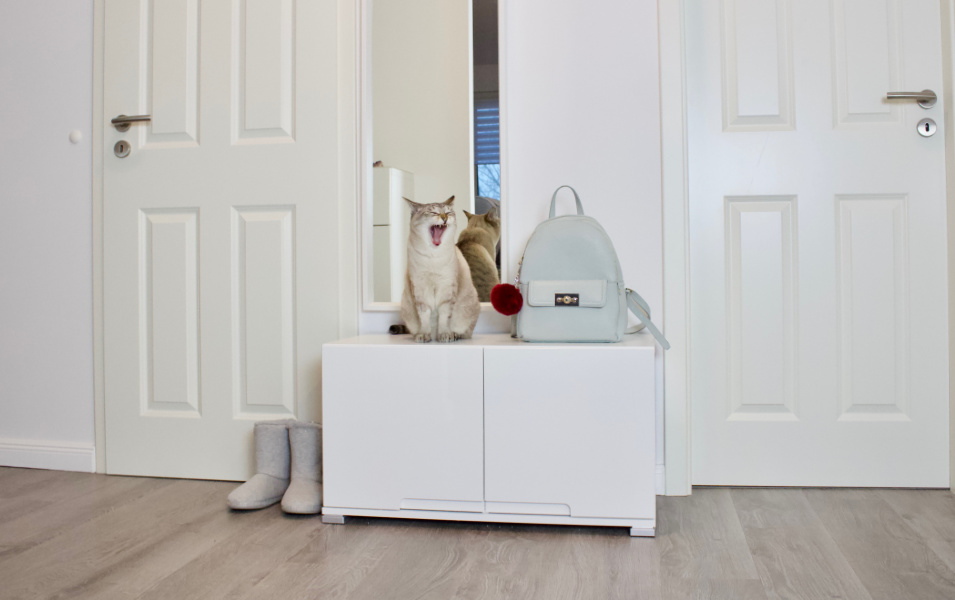 DIY Design Katzentoilette selbst bauen | SELFMADE INTERIOR